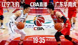 辽宁飞豹对阵广东华南虎的CBA篮球赛事直播缩略图